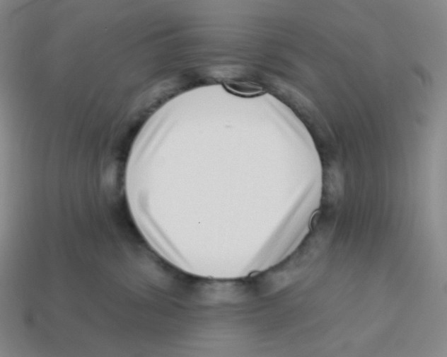 X0000113320428200910131132