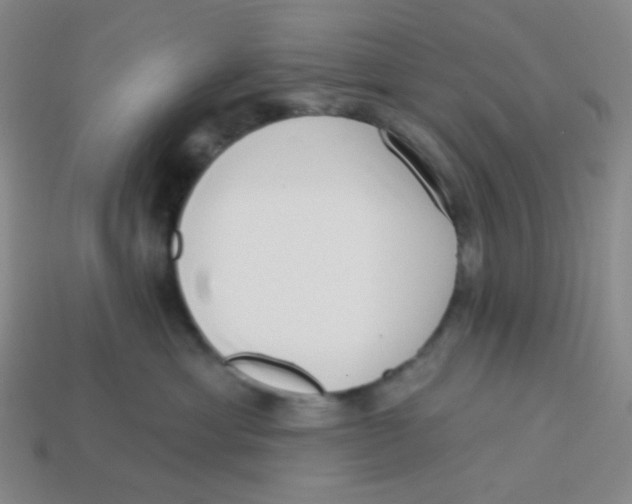 X0000113320429200910131132