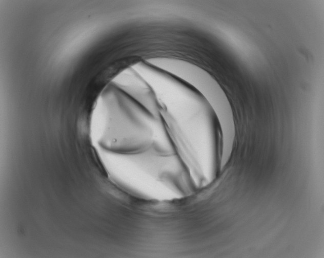 X0000113320431200910131132