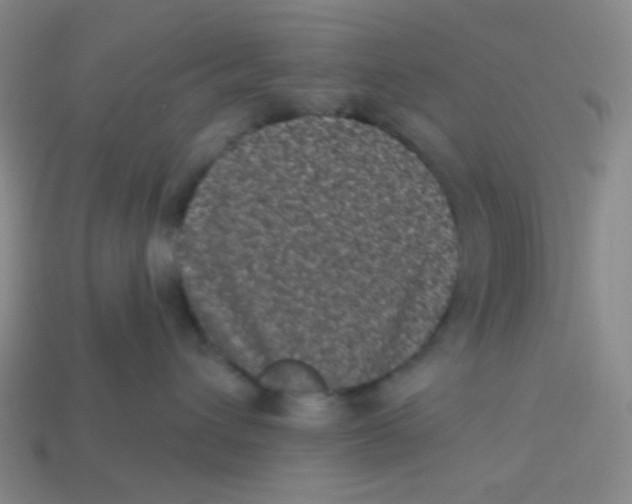 X0000113320432200910131132