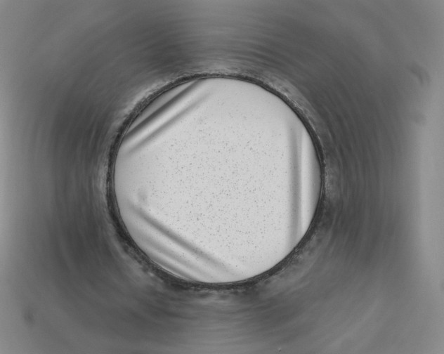 X0000113320434200910131131