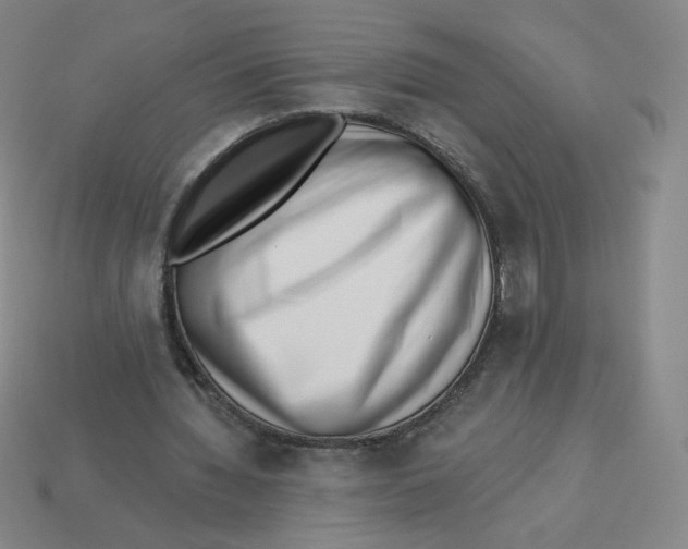 X0000113320436200910131131