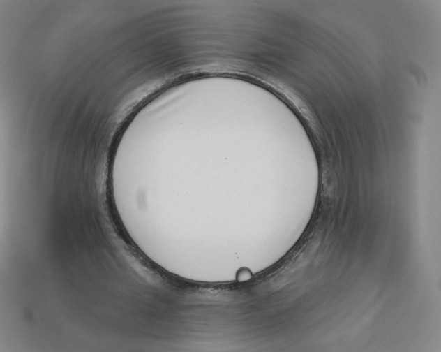 X0000113320437200910131131