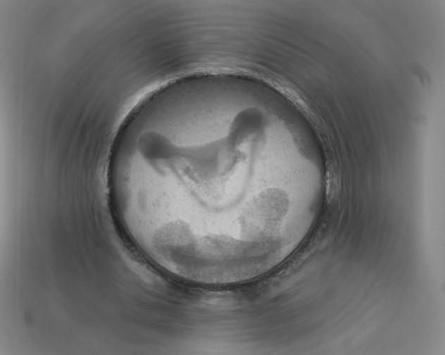 X0000113320438200910131131