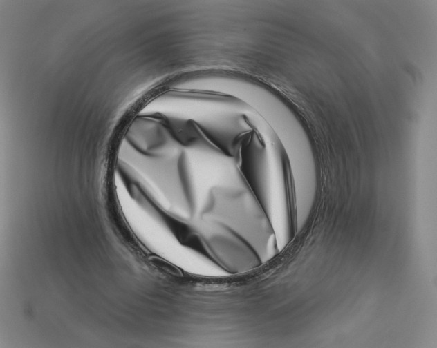 X0000113320440200910131131