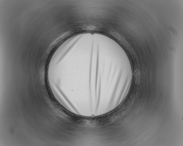 X0000113320442200910131131