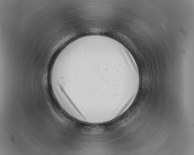 X0000113320443200910131131