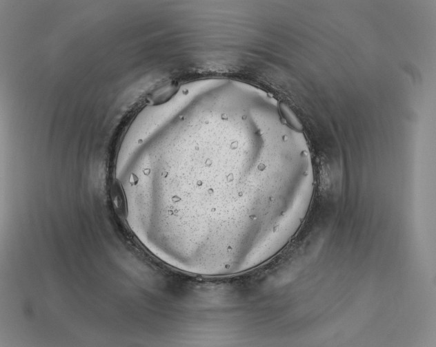 X0000113320444200910131131