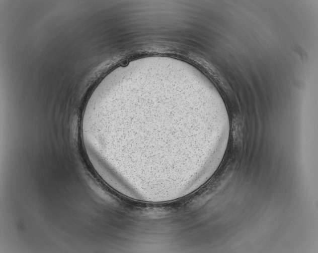 X0000113320445200910131131