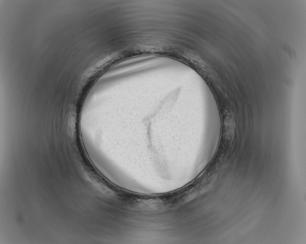 X0000113320446200910131131