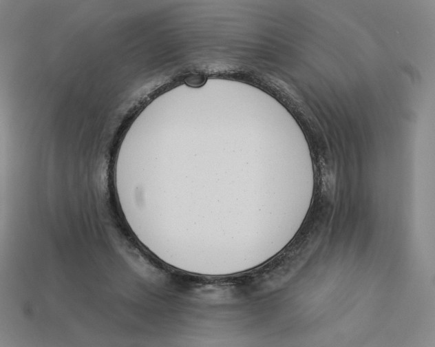 X0000113320447200910131131