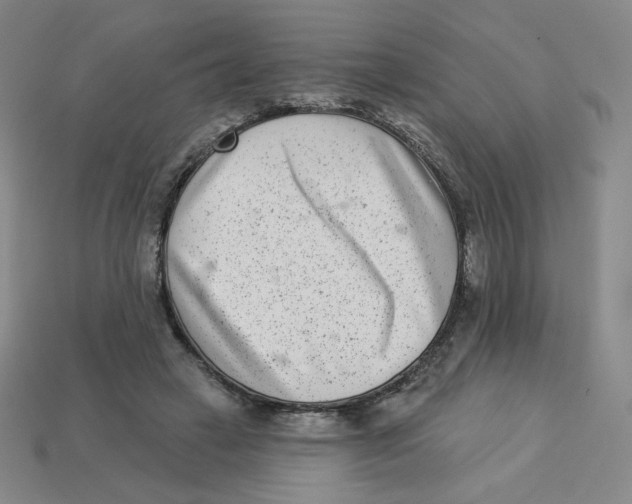 X0000113320449200910131131