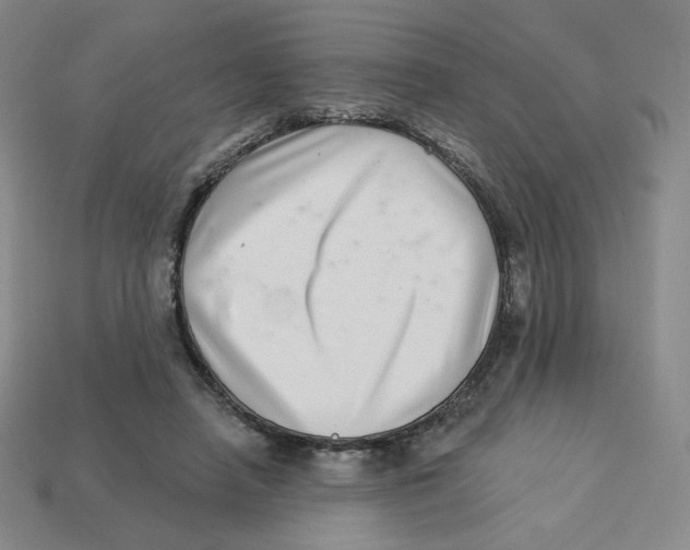 X0000113320450200910131131