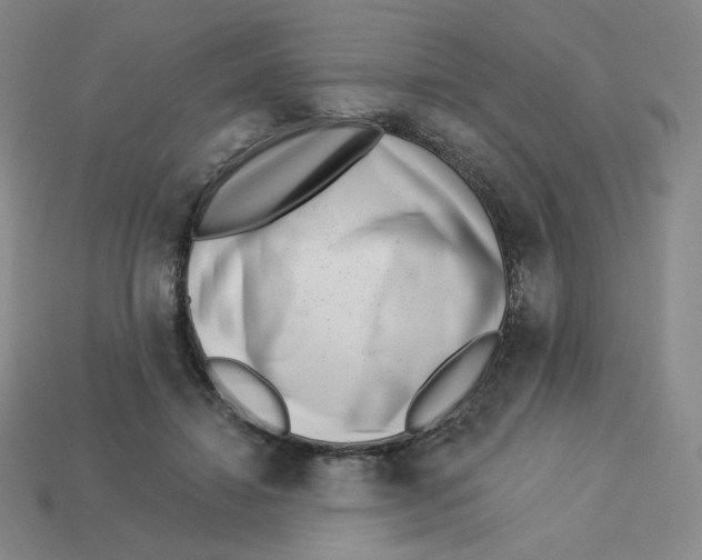 X0000113320452200910131131