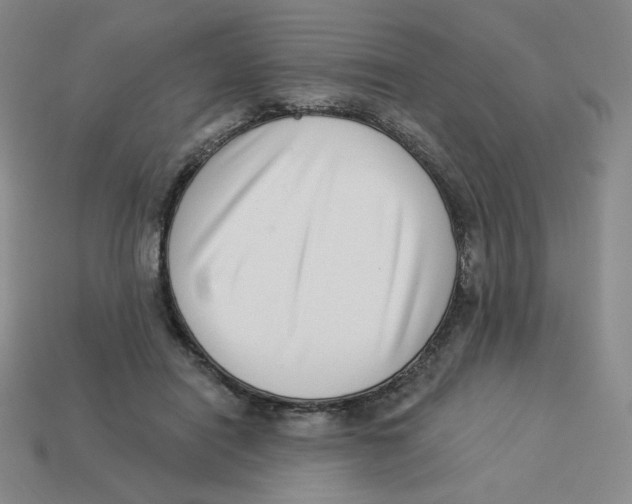 X0000113320454200910131132