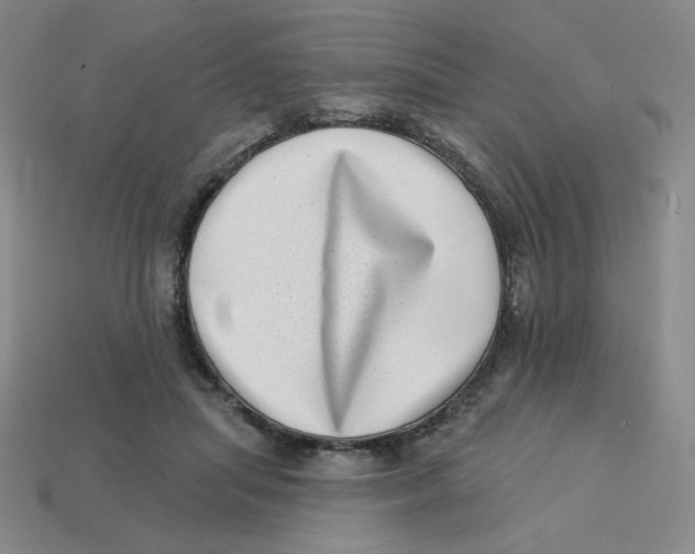 X0000113320455200910131132