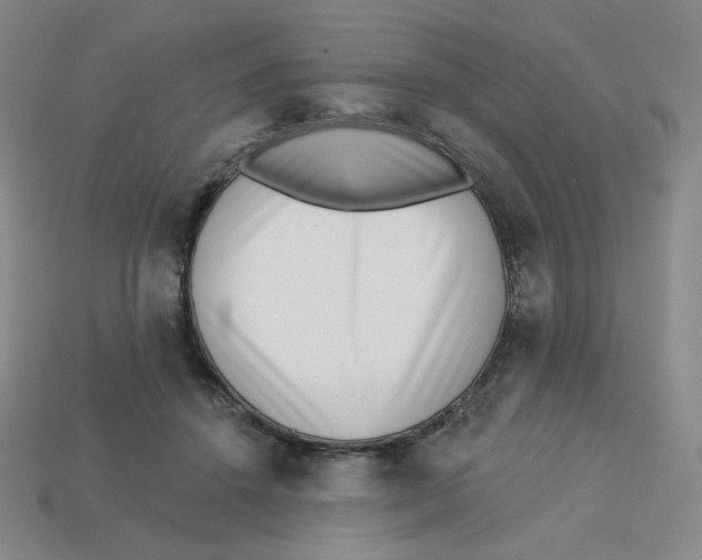 X0000113320456200910131132