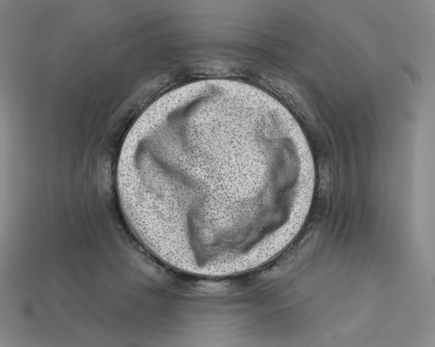 X0000113320457200910131132