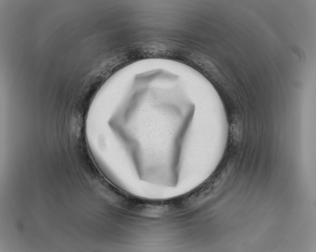 X0000113320458200910131132