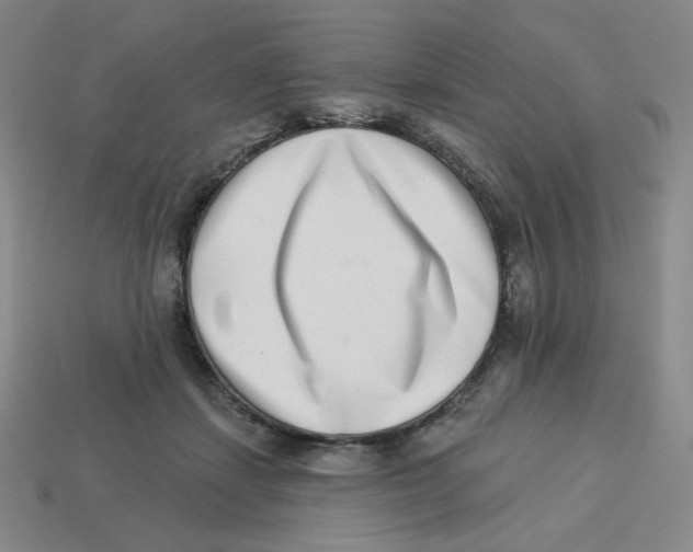 X0000113320459200910131132