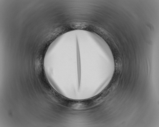 X0000113320460200910131132