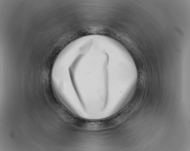 X0000113320461200910131132