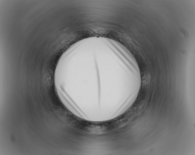 X0000113320464200910131132