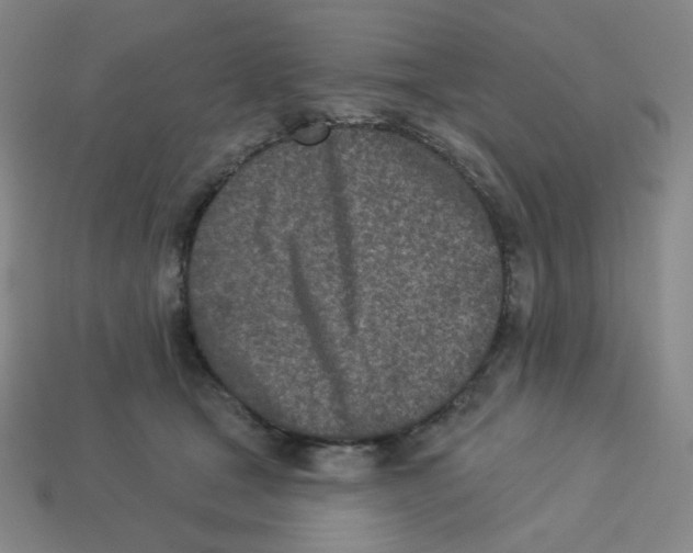 X0000113320465200910131132