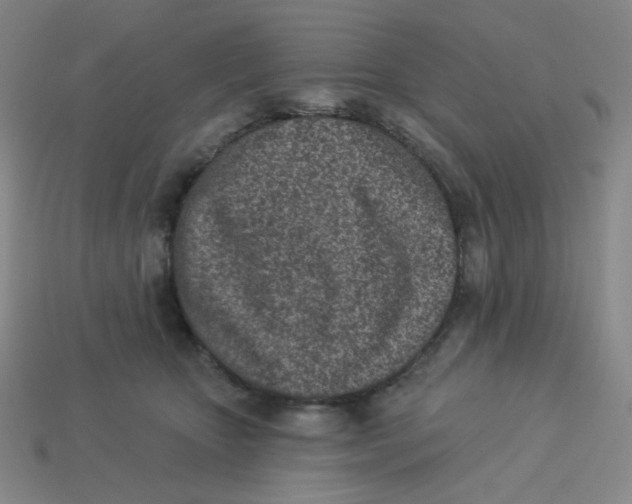 X0000113320467200910131132