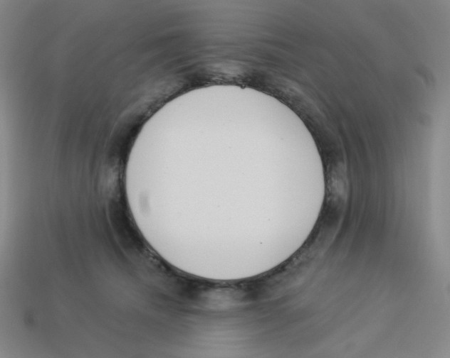 X0000113320468200910131132