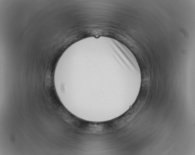 X0000113320469200910131132