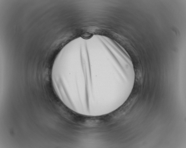 X0000113320470200910131132