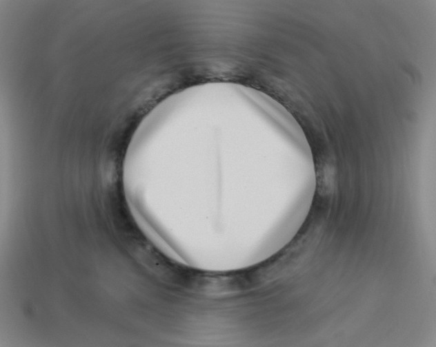 X0000113320472200910131132