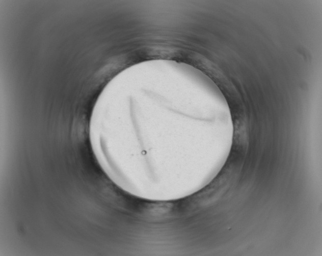 X0000113320474200910131132