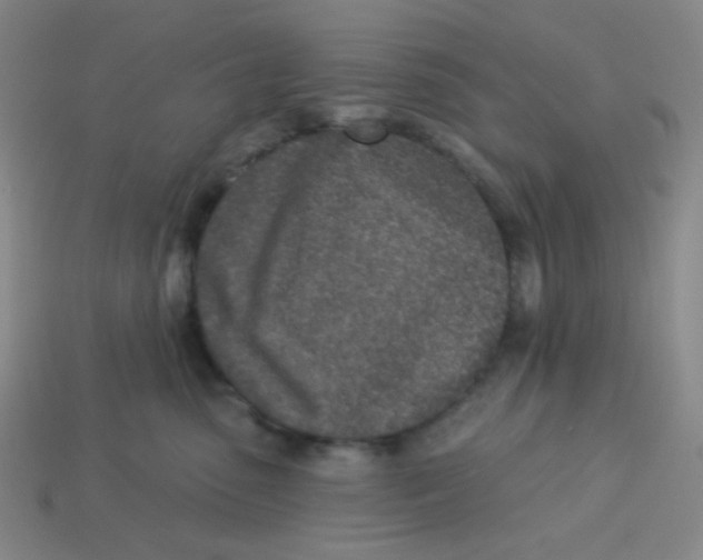 X0000113320475200910131132