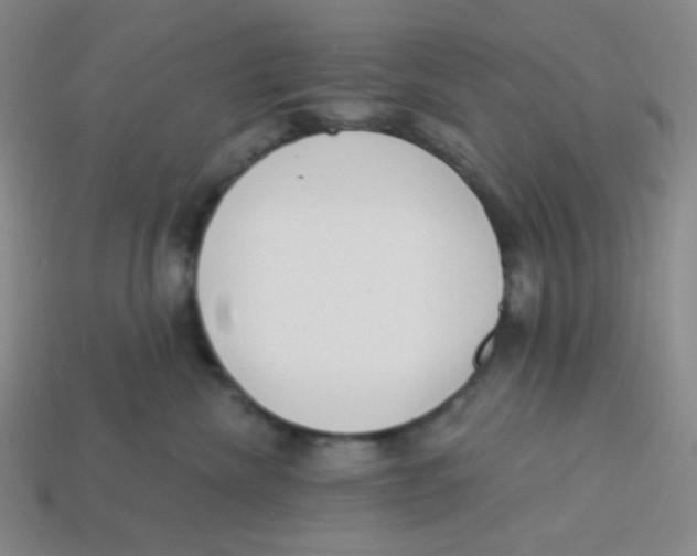 X0000113320476200910131132