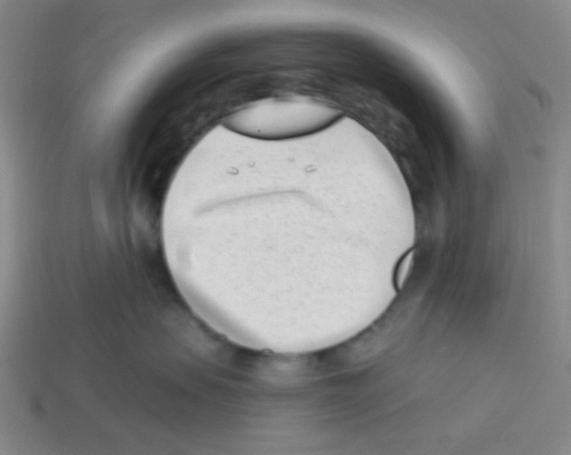 X0000113320479200910131132