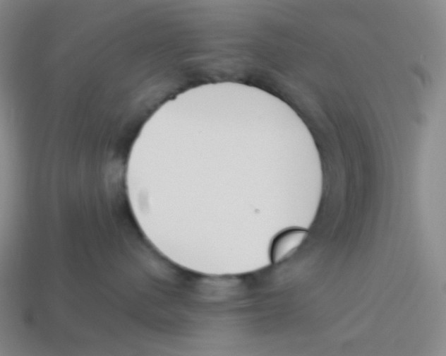 X0000113320480200910131132