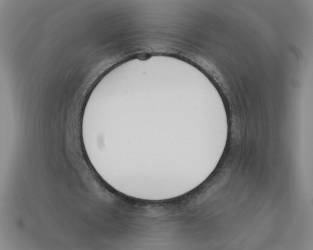 X0000113320481200910131131