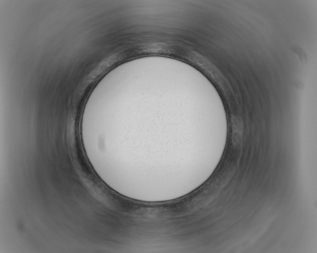 X0000113320482200910131131