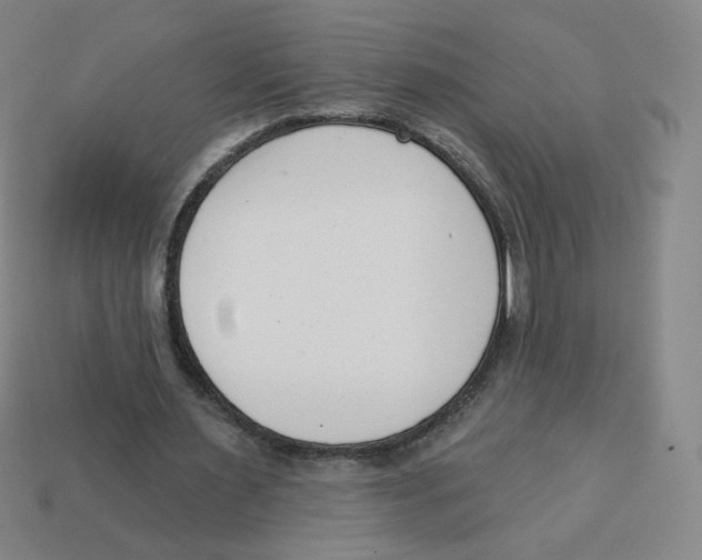 X0000113320483200910131131