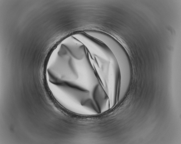 X0000113320485200910131131