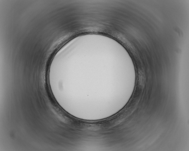 X0000113320486200910131131