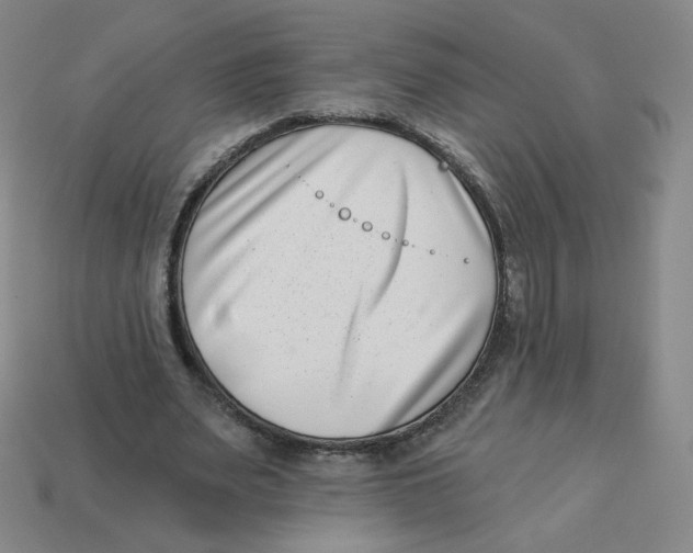 X0000113320487200910131131