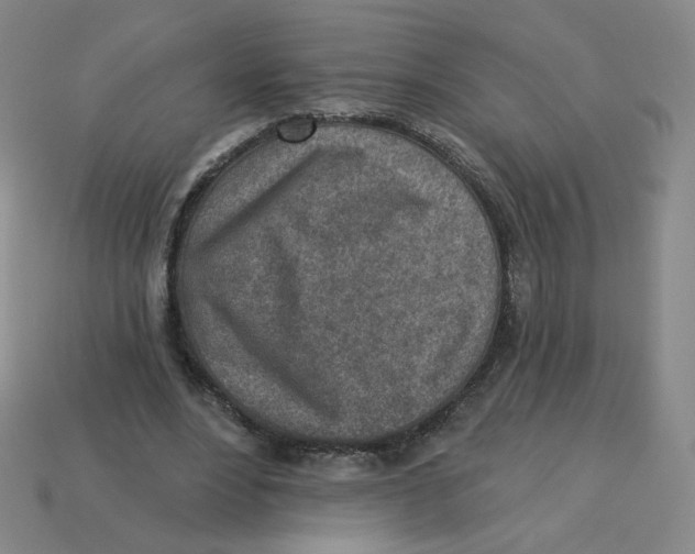 X0000113320488200910131131