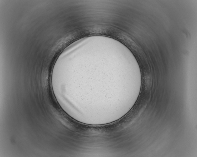 X0000113320490200910131131