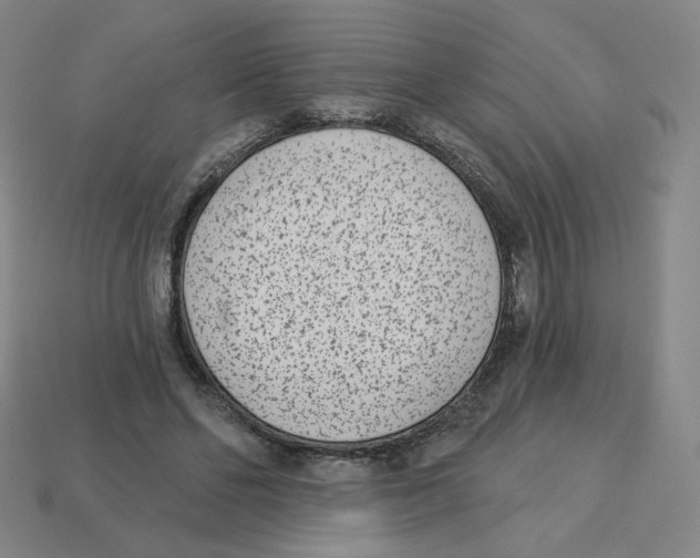 X0000113320494200910131131