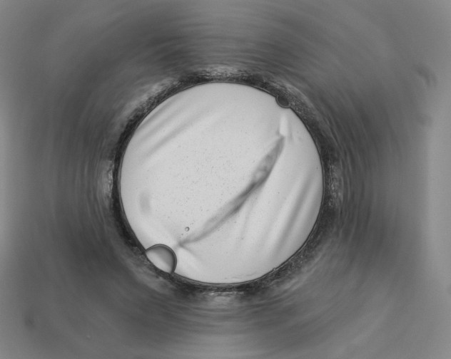 X0000113320495200910131131