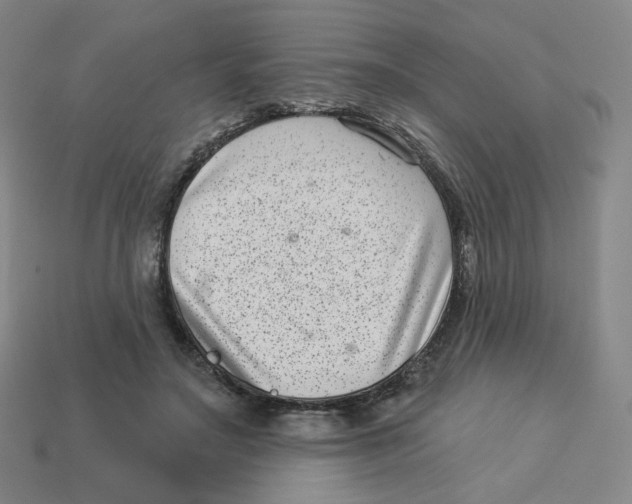 X0000113320499200910131131