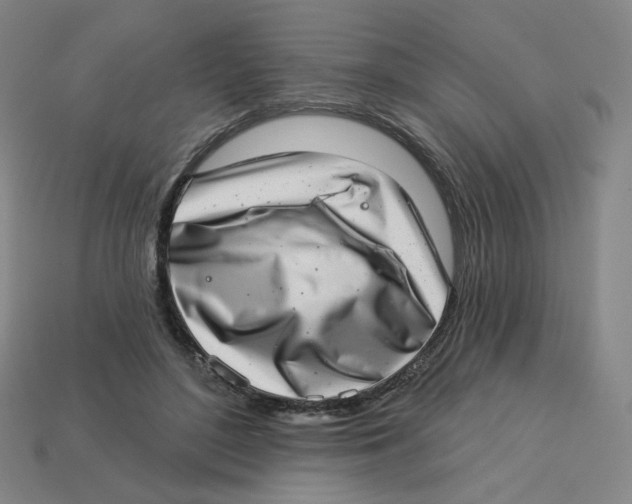 X0000113320500200910131131